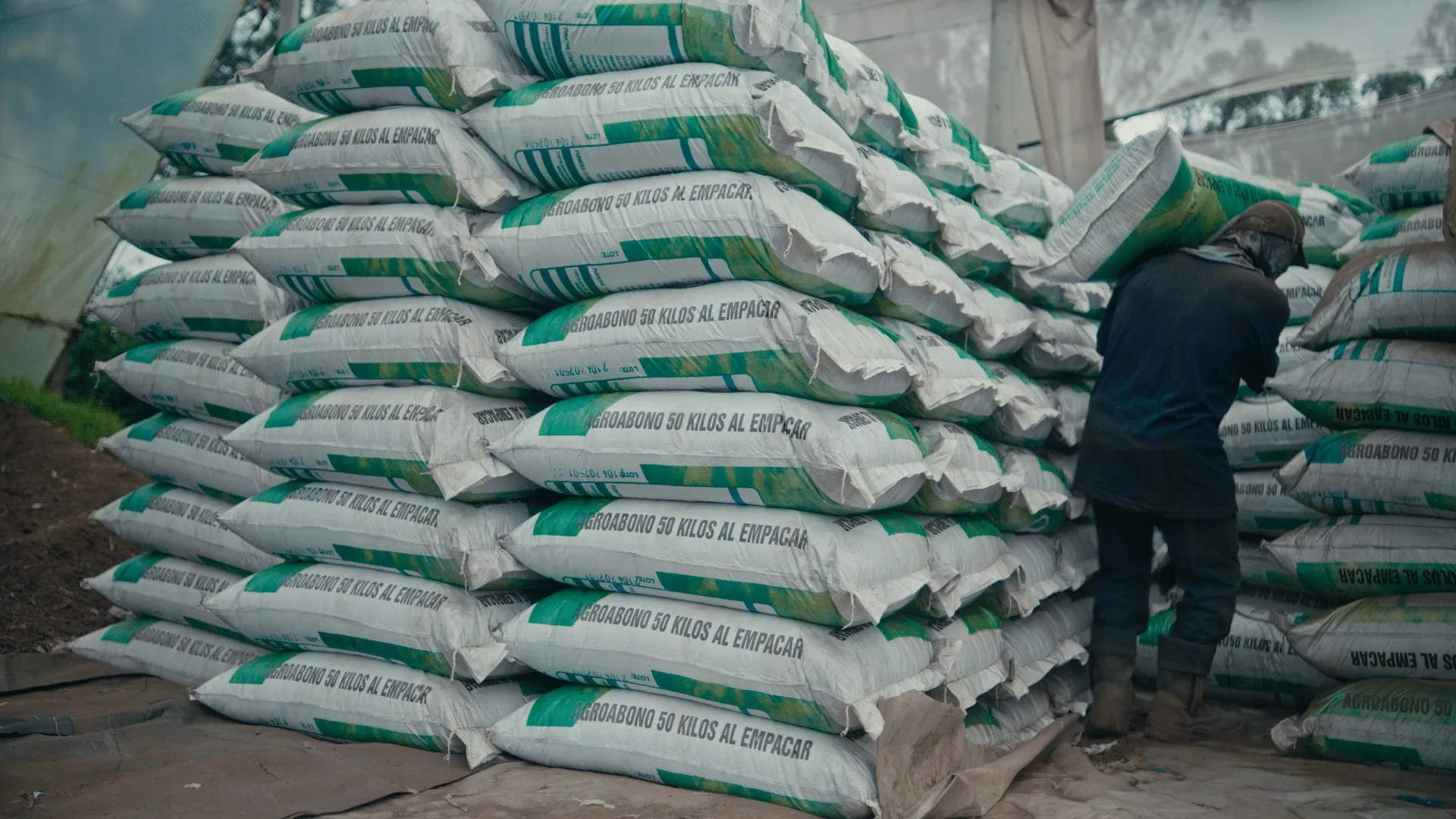 Bodega de producto