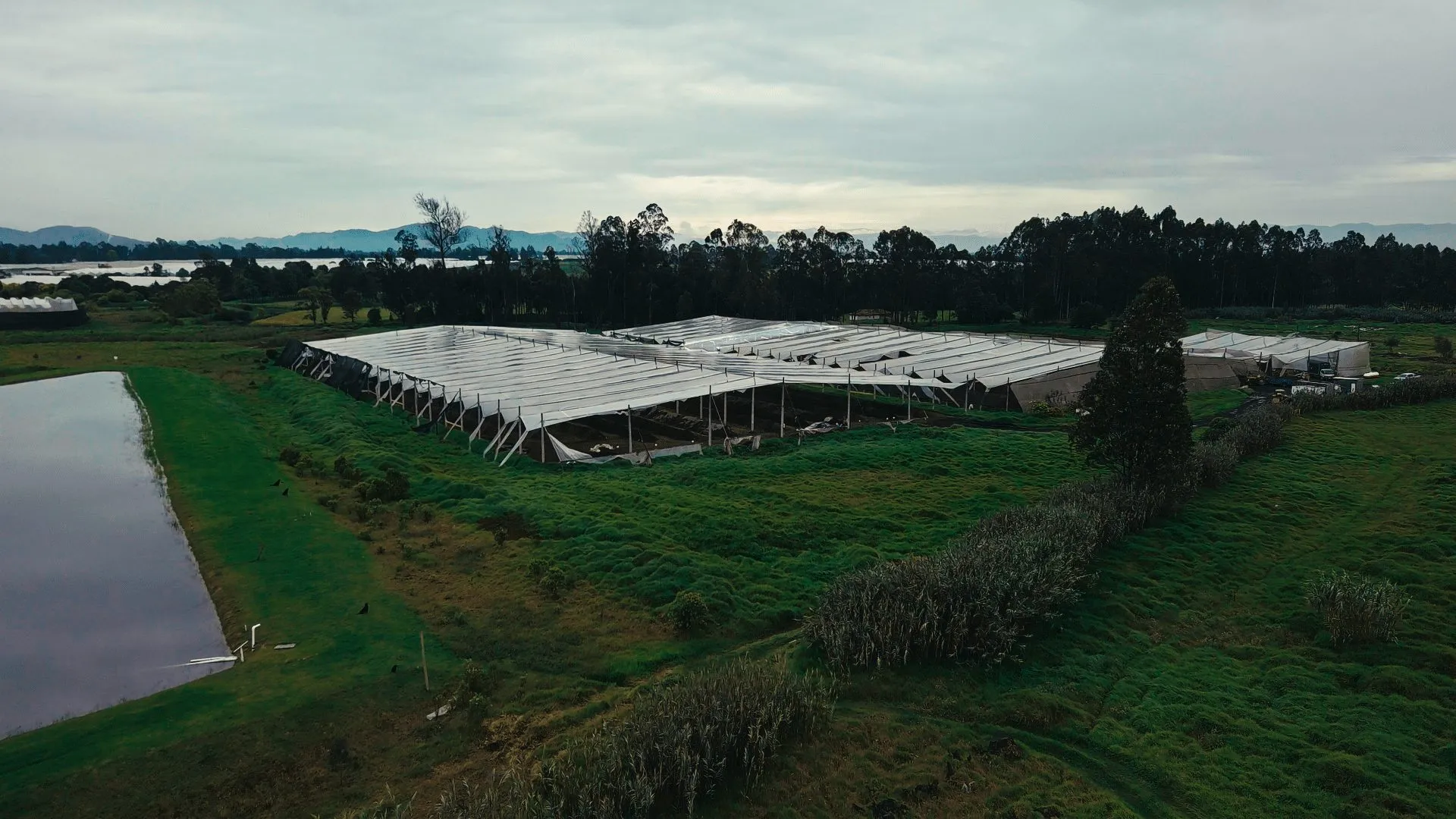 Vista aérea de la planta de fertilizantes orgánicos de Energy Organic