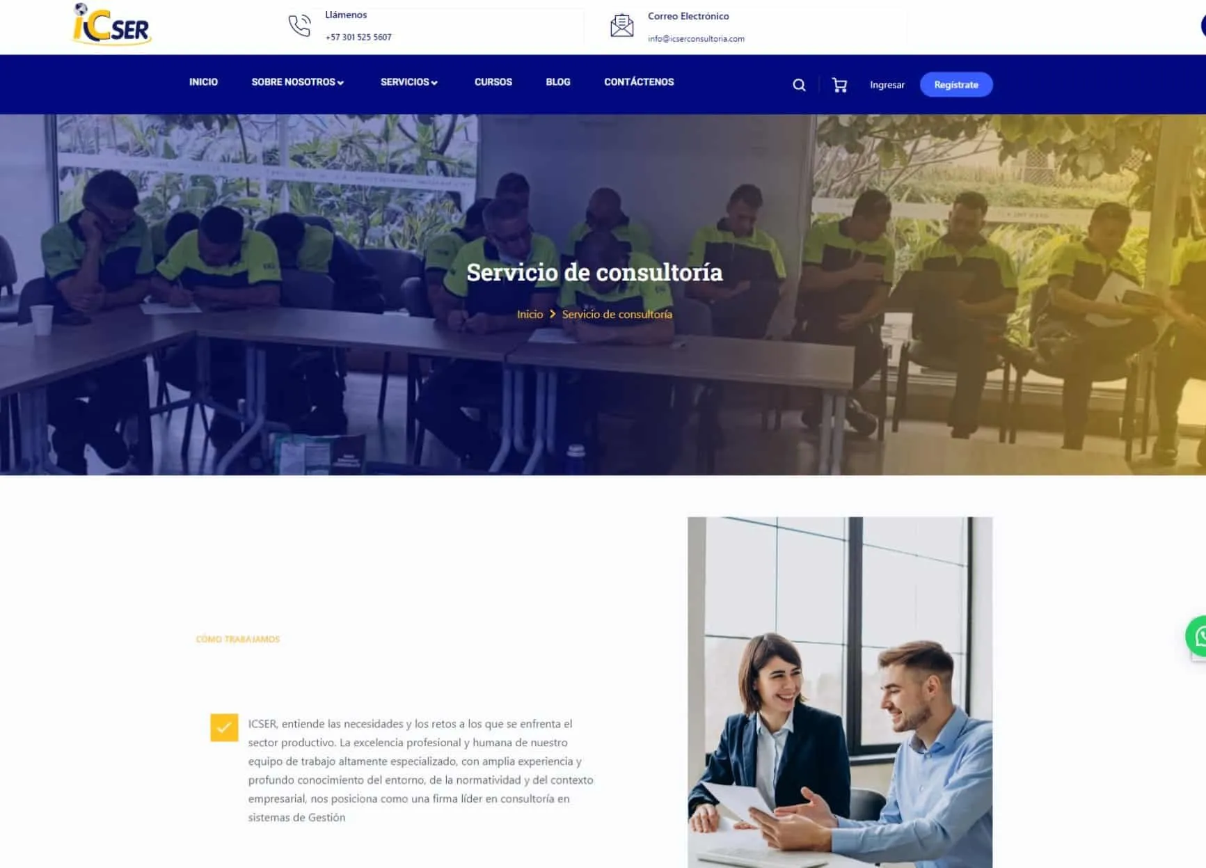 Servicio de consultoria